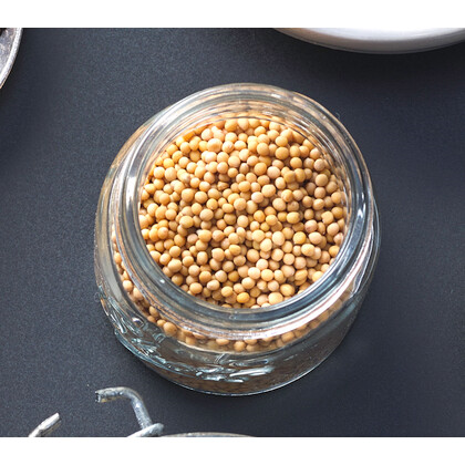Mustard Seeds Yellow