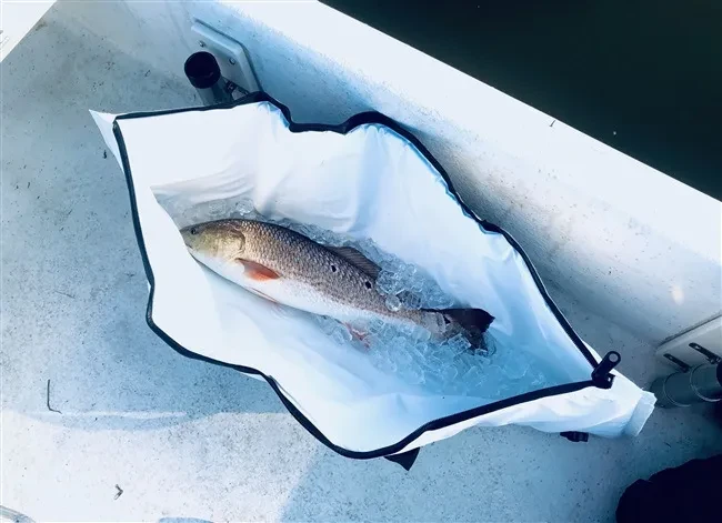 Fishing Cooler Bag