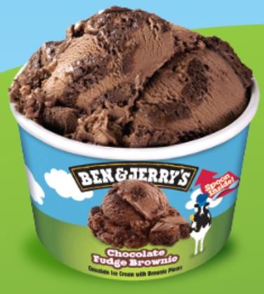 Ice Cream Chocolate Fudge Brownie