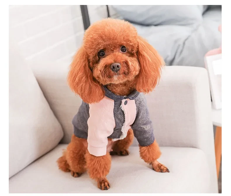 Extra Small Dog Coats