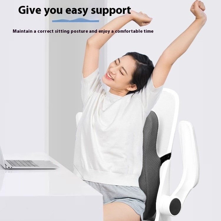 Office Station Chair Dedicated Lumbar Support