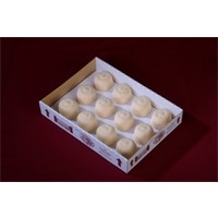 Pavlova Mini Highrise 27G