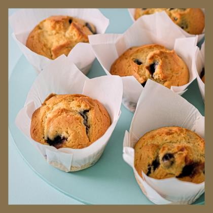 Muffin Blueberry Gourmet