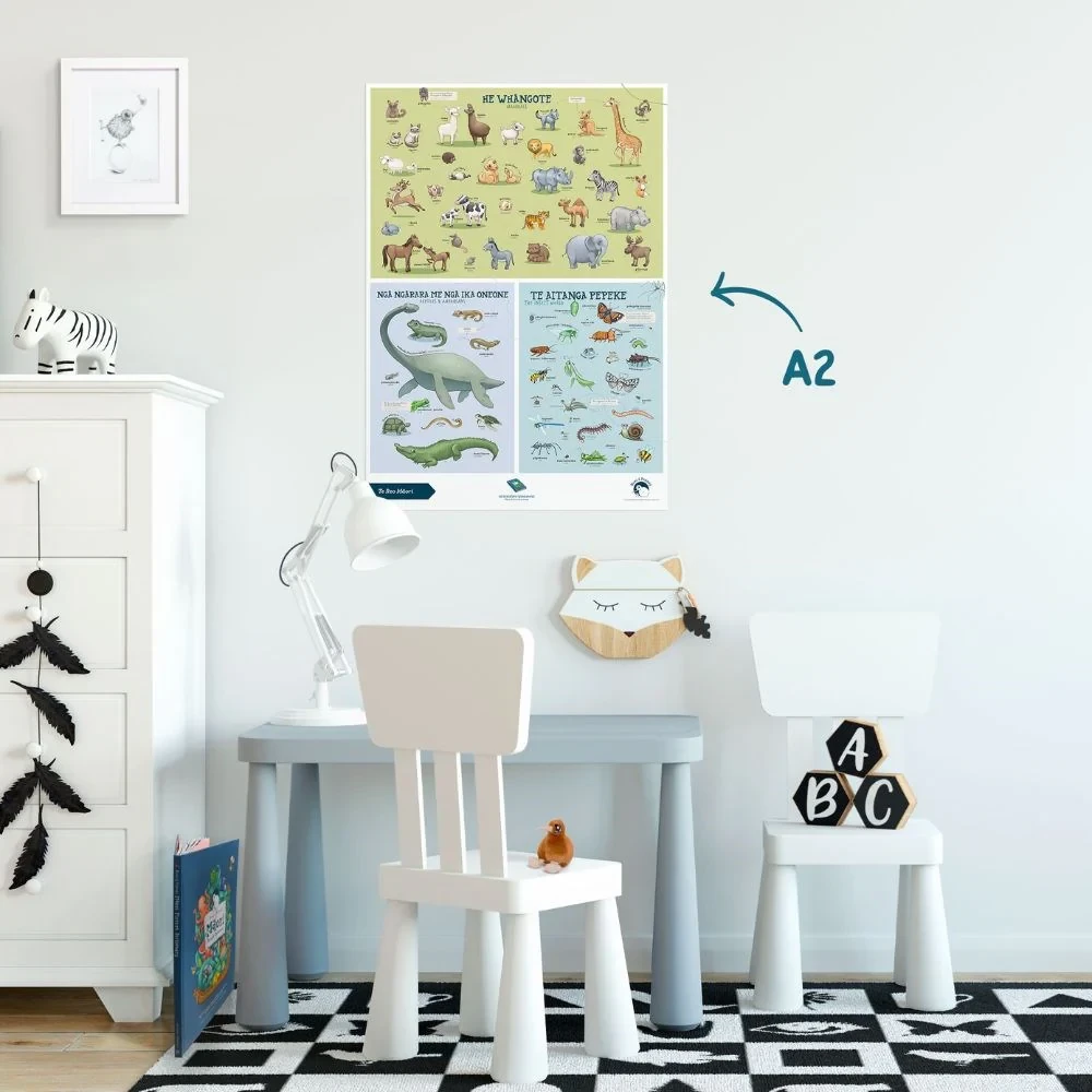 Poster A2 - Animals - Te Reo Mori