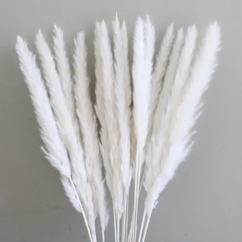 Natural Air-Dried Decorative Immortal Flowers