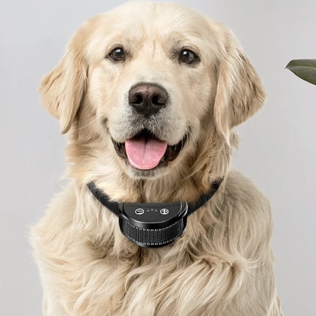 Electric Dog Collars