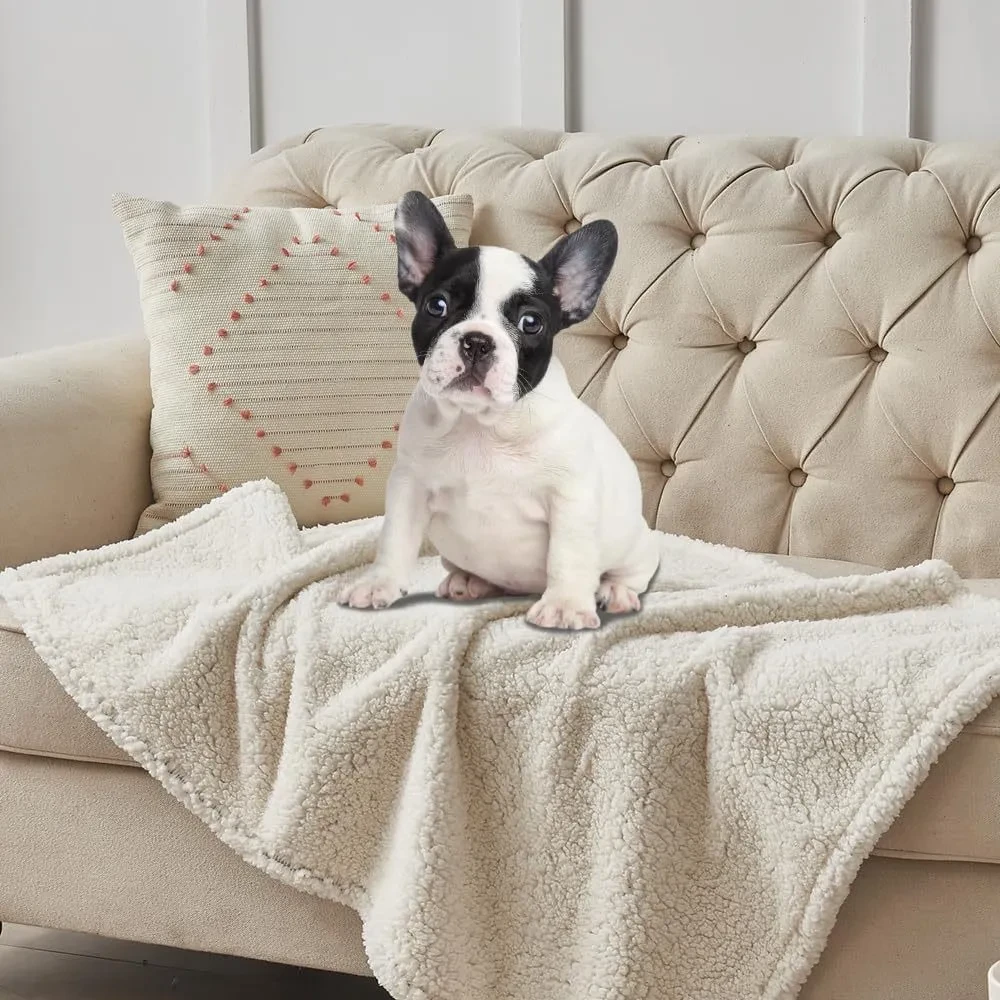 Dog Blanket