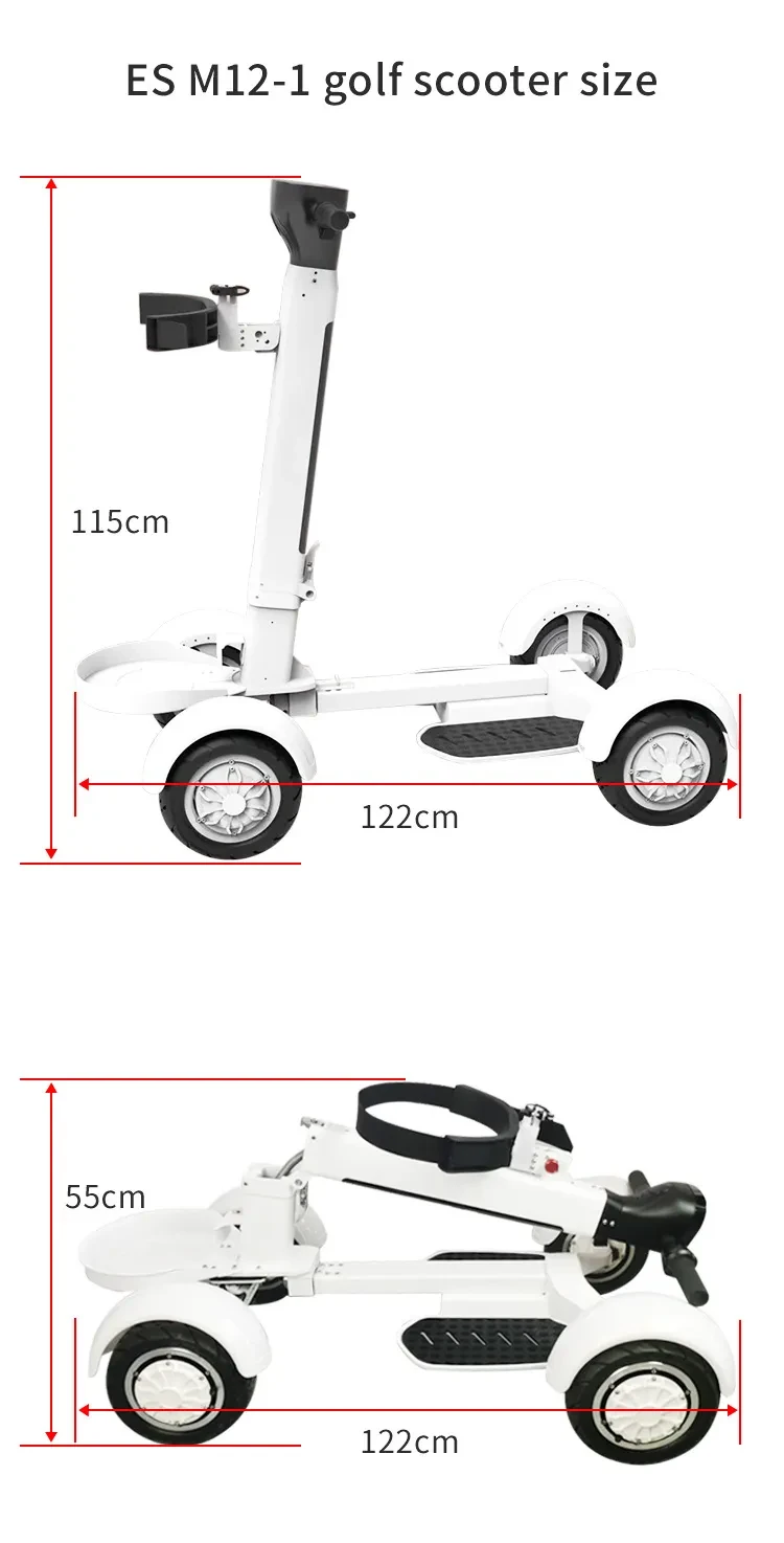 Electric Golf Scooter