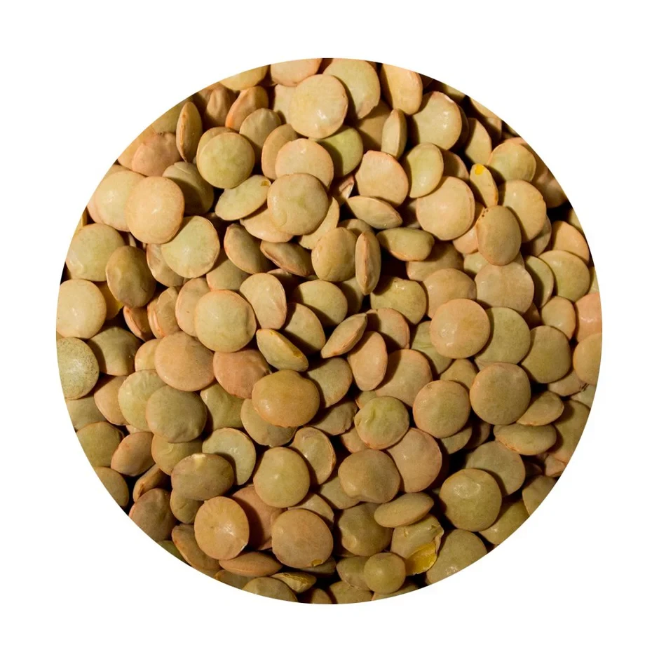Lentils Brown Laird 1kg