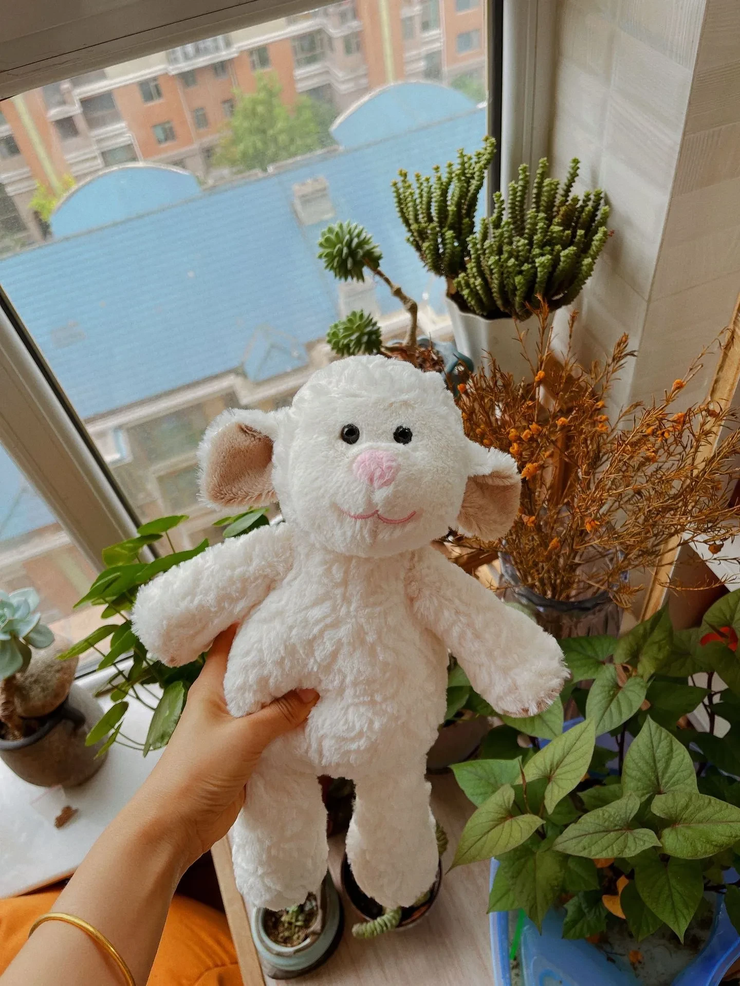 Soft Toys