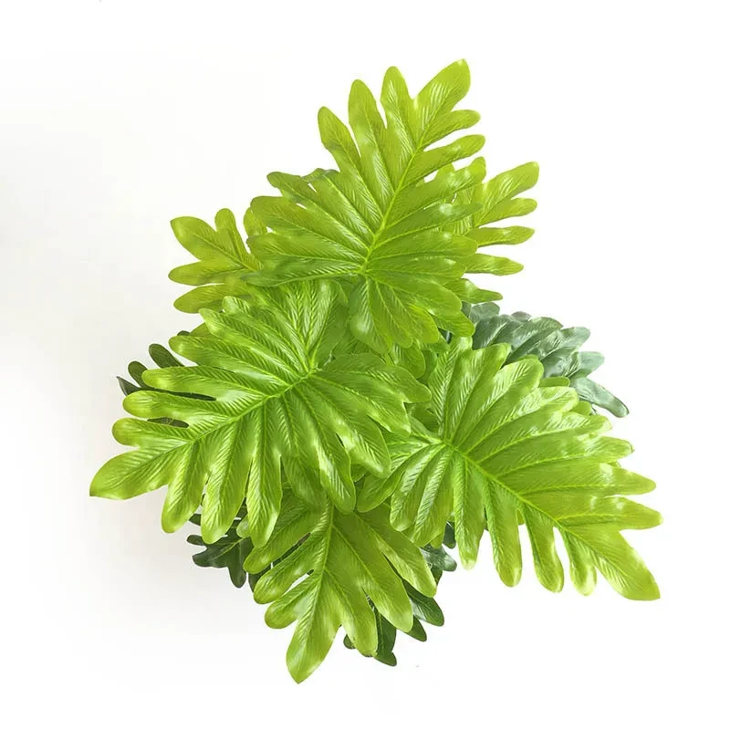 Palm Leaves