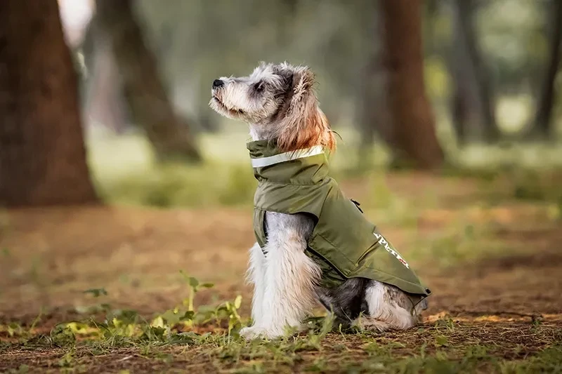 Dog Rain Coats