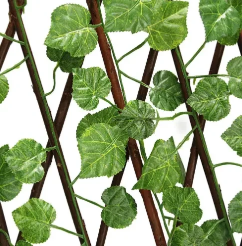 Garden Wall