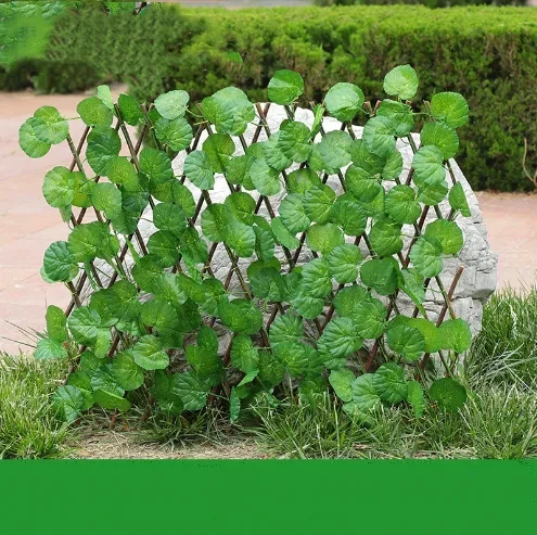 Garden Wall