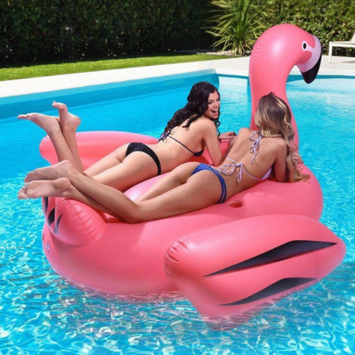 Pop In Flamingo