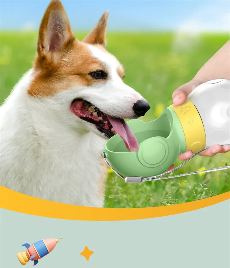 Portable Drinking Fountain