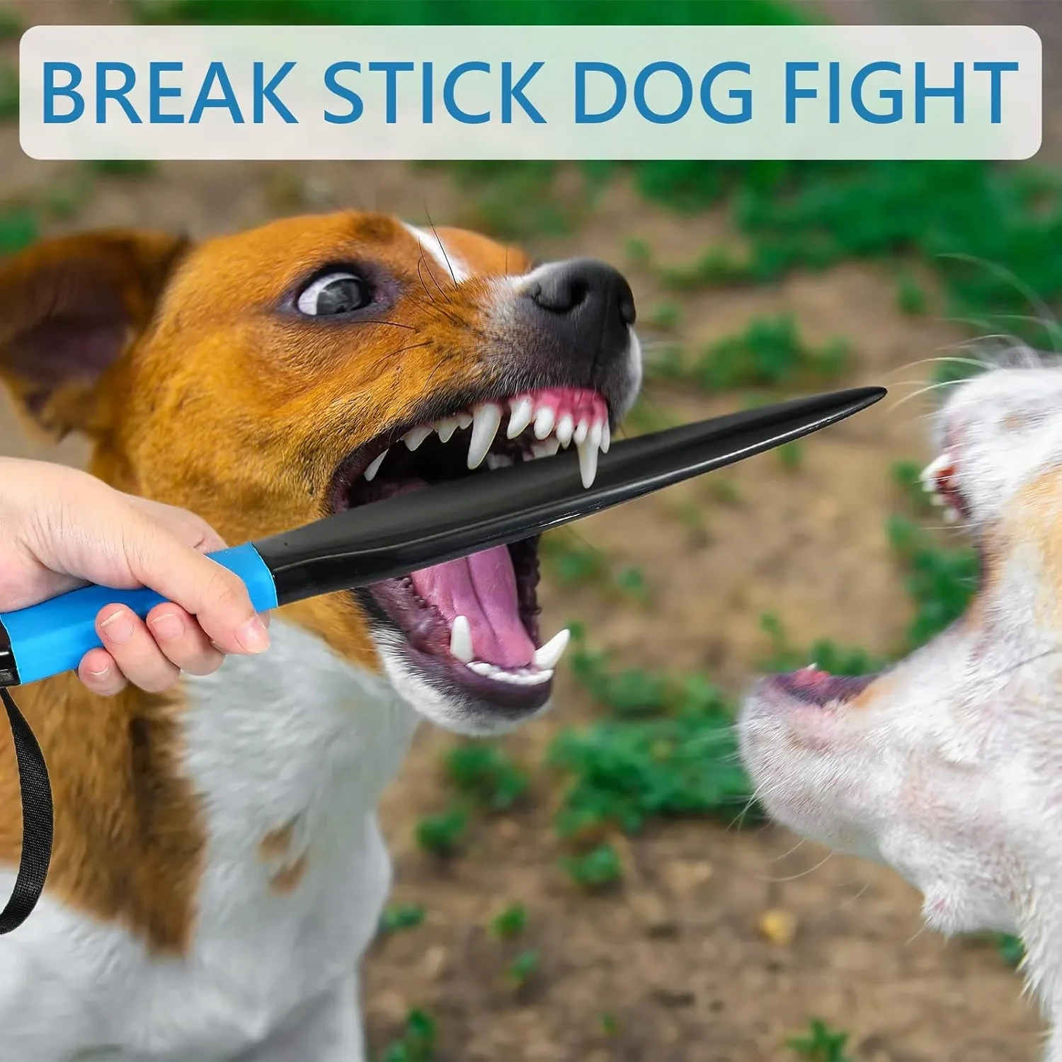 Training Chew Stick