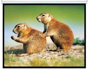 Brateck 150" 4:3 Pull Down Projector Screen Matte