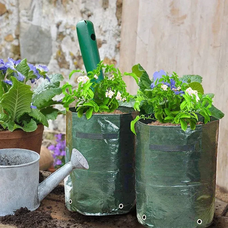 Grow Bags