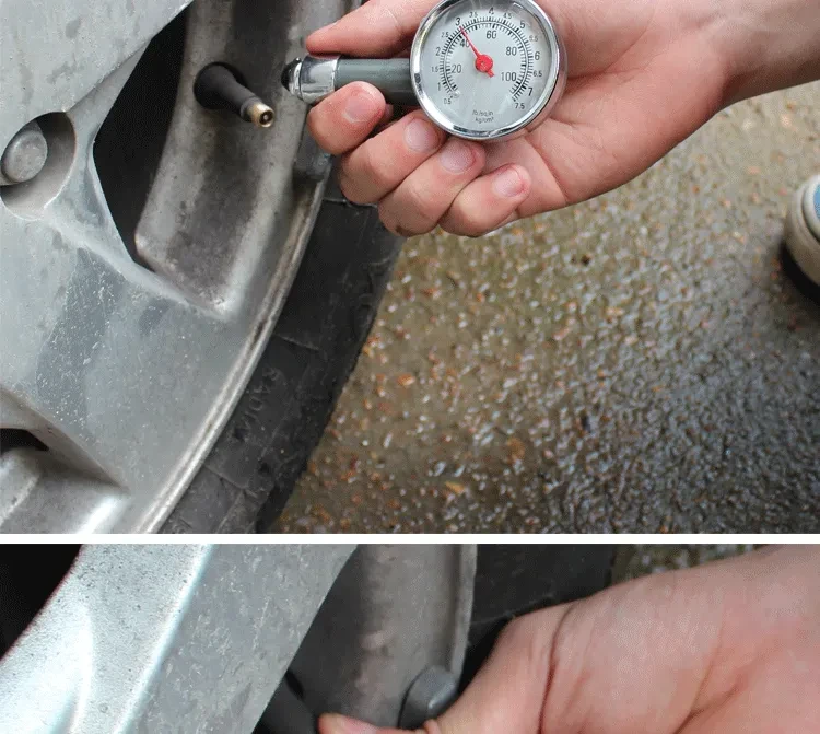 NPT Back Mount Pressure Gauge