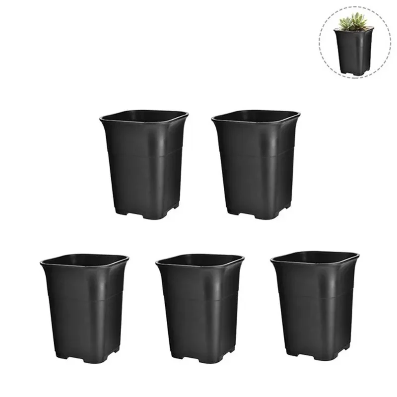 Pot Plants Bulk