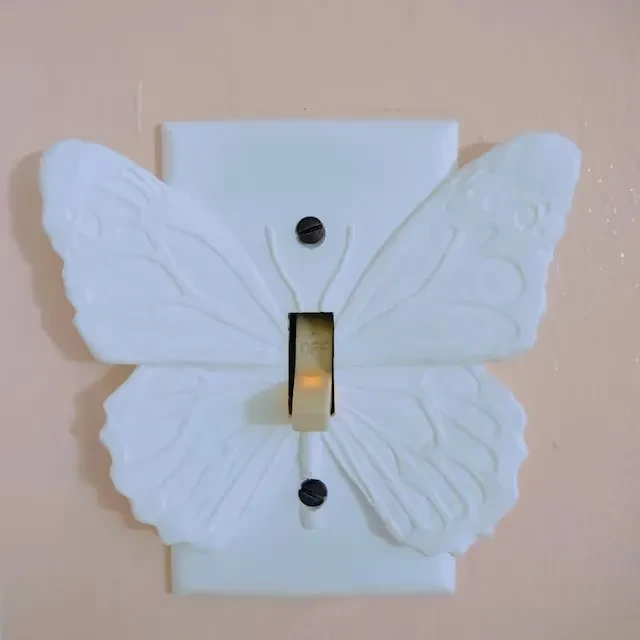 Light Wall Switch Cover