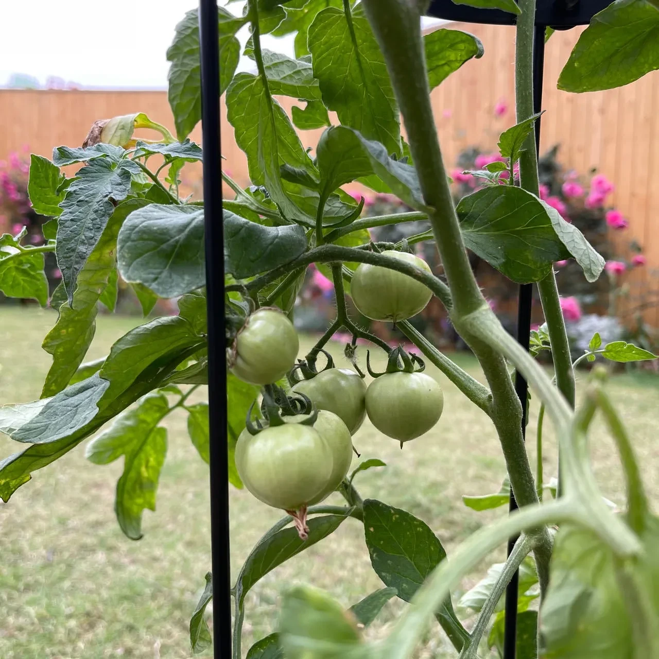 Outdoor Plant Stand