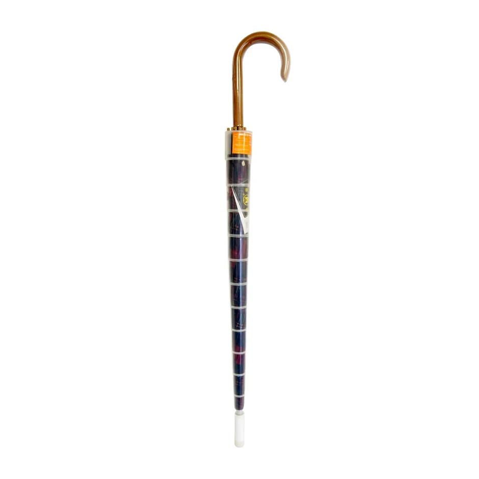 Umbrella with Plastic Protector