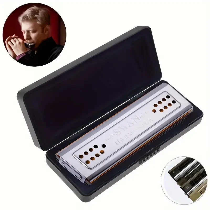 FF Bonfires 24-Hole Double-Sided C & G Key Professional Harmonica: Perfect for Beginners and Performers
