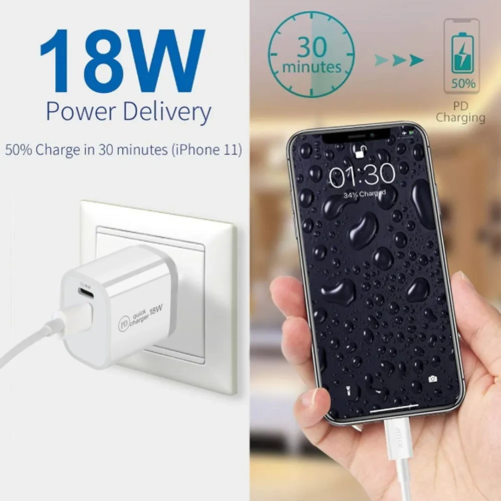 Dual Port Charger