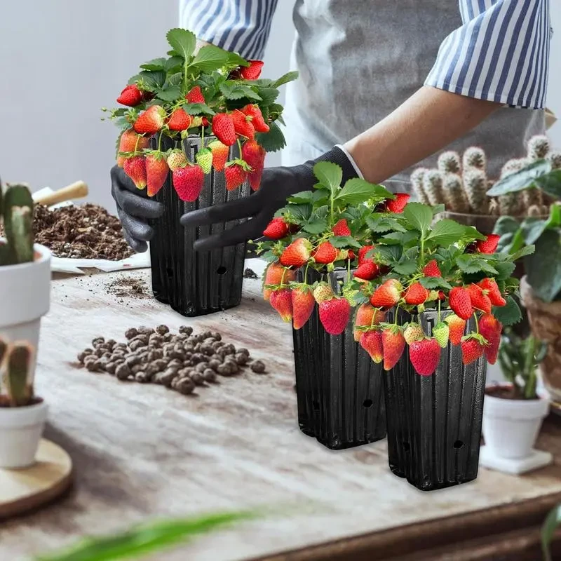 Plastic Nursery Pots