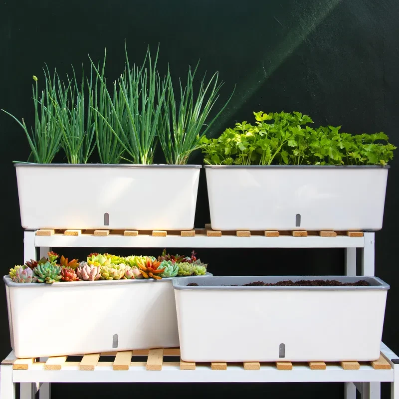White Planter