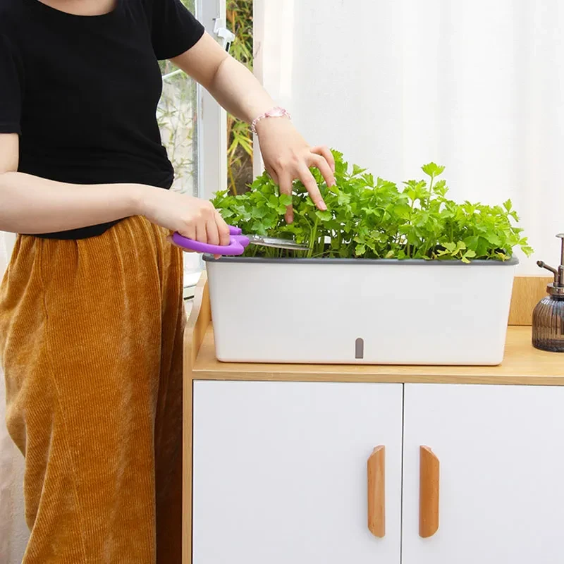 White Planter