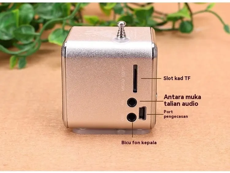 Outdoor Portable Bluetooth Walkman Subwoofer Small Speaker TDV26
