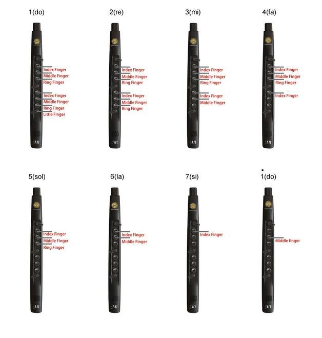 Sunrise Melody M1 EWI  Easy-Start Electronic Wind Instrument for Beginners
