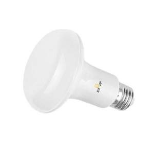 LED Light Bulb