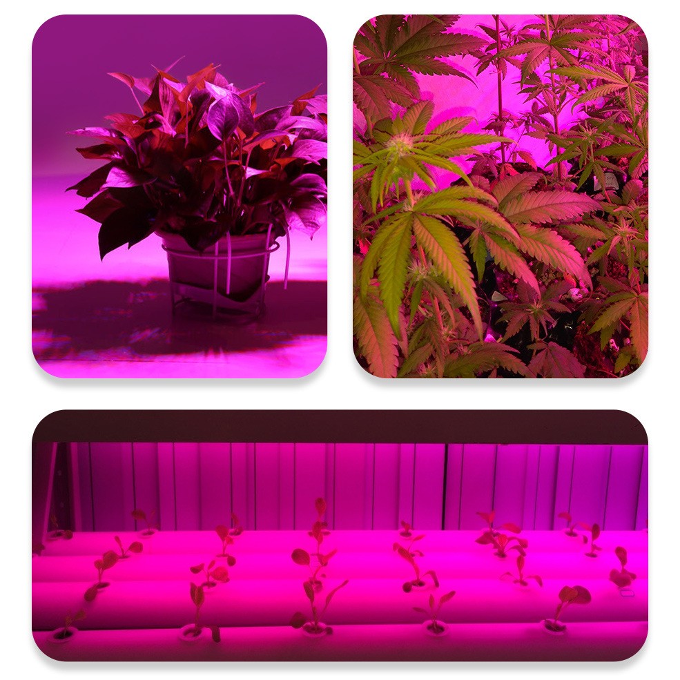 LED Plant Growth Bulb