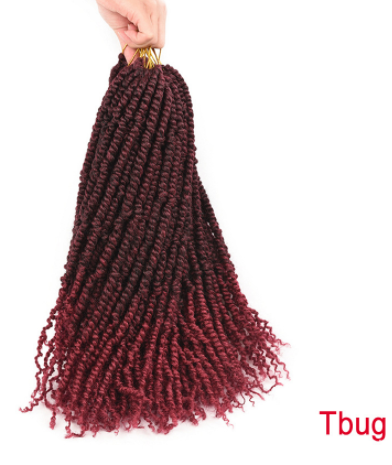 Passion Twist Crochet Hair Extension