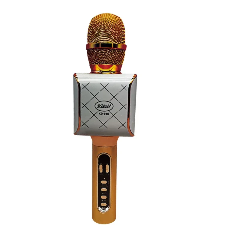 Car national karaoke microphone