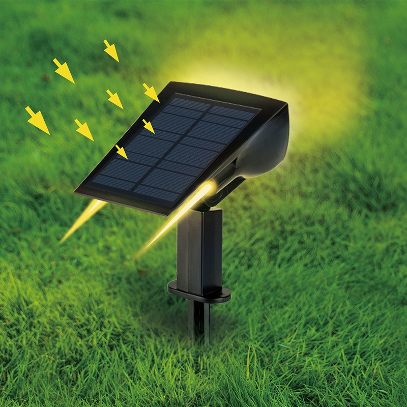 Outdoor LED Lights