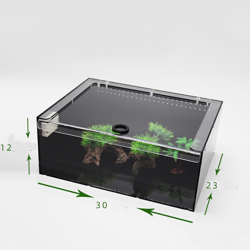 Reptile Terrarium