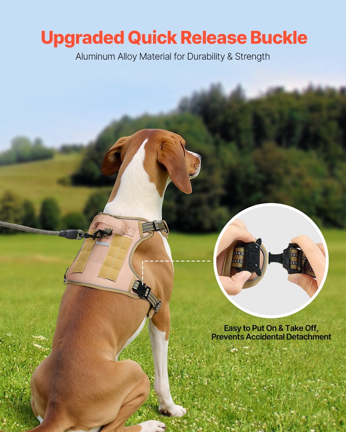 Dog Harness