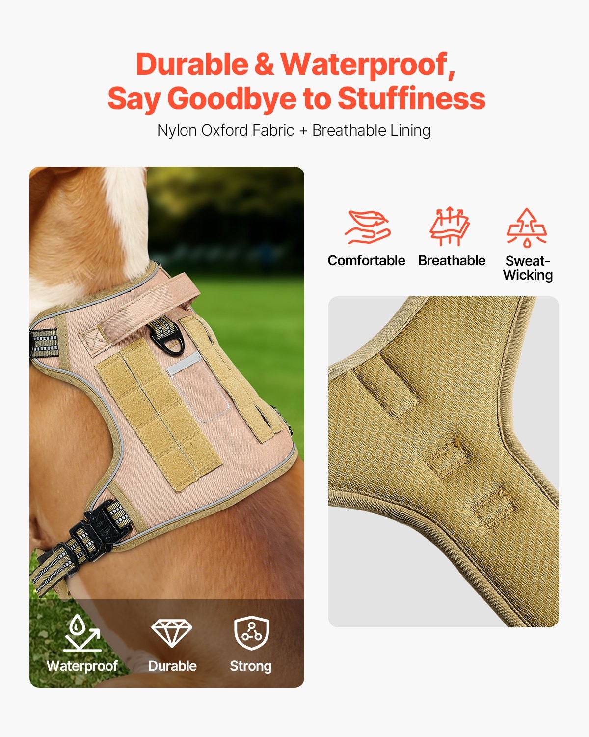 Dog Harness