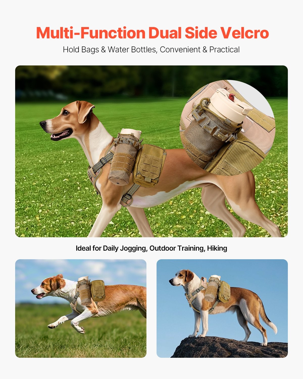 Dog Harness