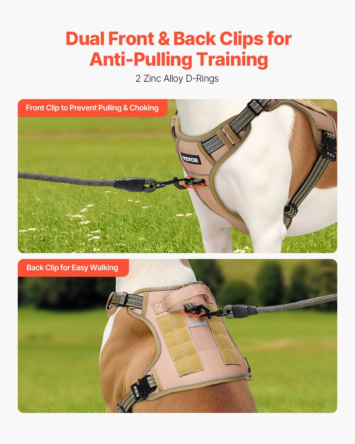 Dog Harness