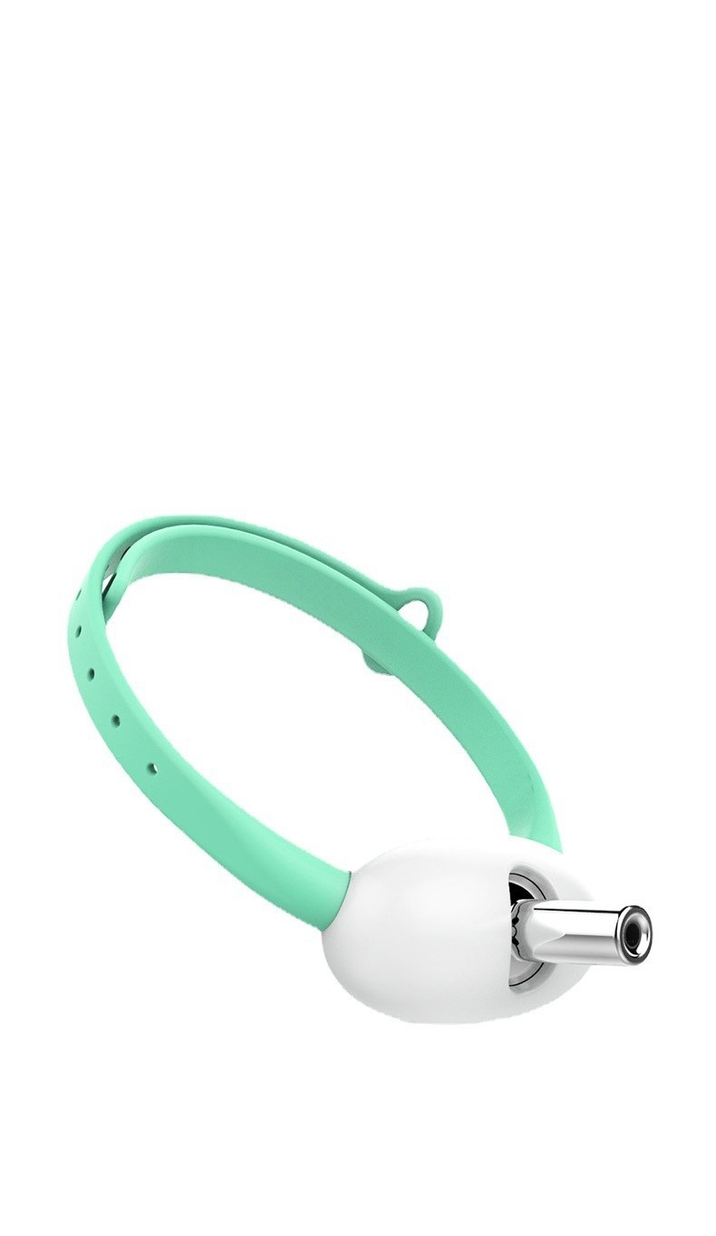 Laser Teaser Cat Collar