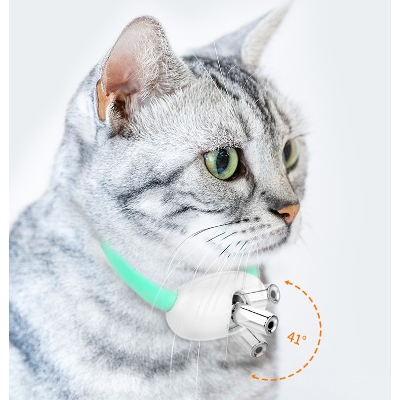 Laser Teaser Cat Collar