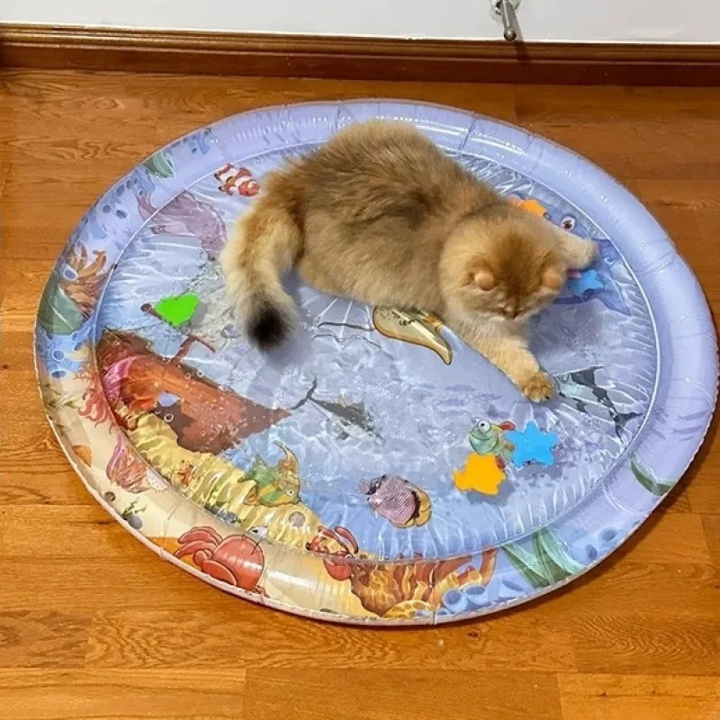 Pet Water Sensory Play Mat