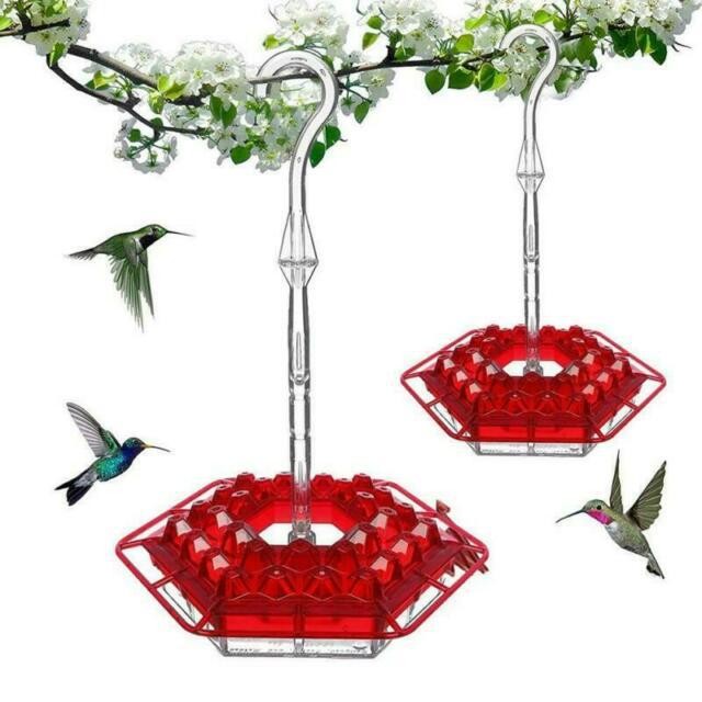 Hummingbird Feeders