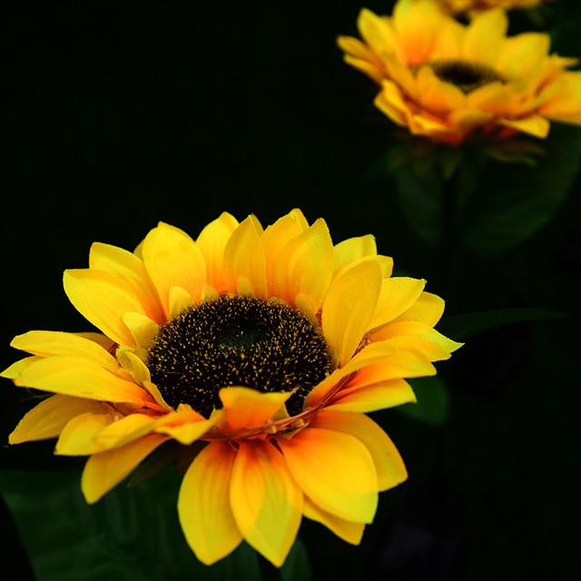 Solar Sunflower Light